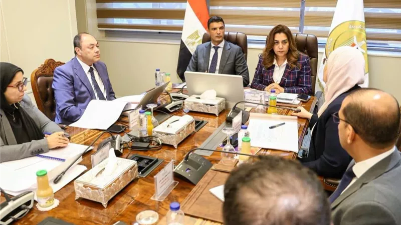دعم مشروعات تنمية الصعيد.. تعاون بين التنمية المحلية والصناعة لزيادة فرص العمل والاستثمار