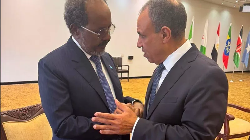 وزير الخارجية يؤكد للرئيس الصومالي دعم مصر الكامل لوحدة وسيادة الصومال