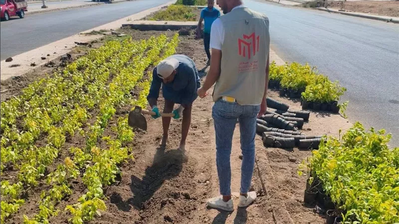 20 ألف زهرة و200شجرة..جهاز الشروق يواصل خطة التجميل والتوسع في المسطحات الخضراء