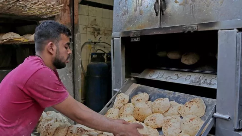 الغرفة التجارية بكفر الشيخ: رغيف الخبز بـ20 قرشًا وحصة المواطن ثابتة دون تغيير
