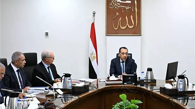 الحكومة تدرس نقل ملكية شركات قطاع الأعمال لتعظيم الأصول وجذب الاستثمارات الجديدة