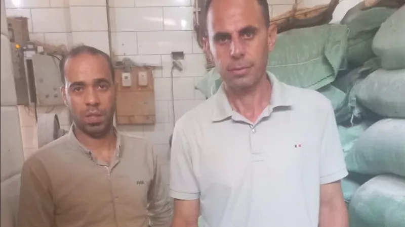 ضربات تموينية في البحيرة.. ضبط 12 مخبزًا مخالفًا وتحرير محاضر لتجميع الدقيق 
