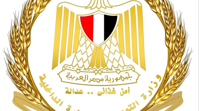 اليوم.. انطلاق الأوكازيون الصيفي 2026 بتخفيضات تمتد لشهر كامل ورقابة مشددة