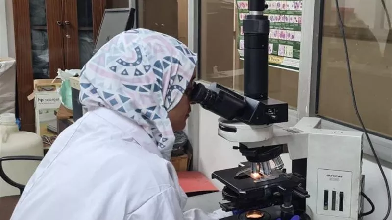 الزراعة تكشف عن جهود المعمل المركزي للمبيدات خلال يوليو: إجراء 3723 تحليلًا ودراسة
