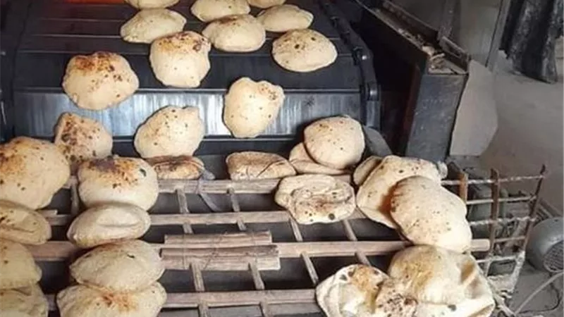 التموين: الحبس وسحب الترخيص عقوبة رفع أسعار الخبز السياحي دون مبرر