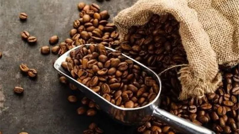 غرفة البن تكشف طرق غش القهوة.. نوى البلح والبسلة والقمح أبرز البدائل المستخدمة
