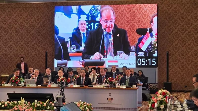 كجوك: نتطلع إلى نظام مالى عالمي أكثر استجابة لأولويات النمو والتنمية بالدول الناشئة