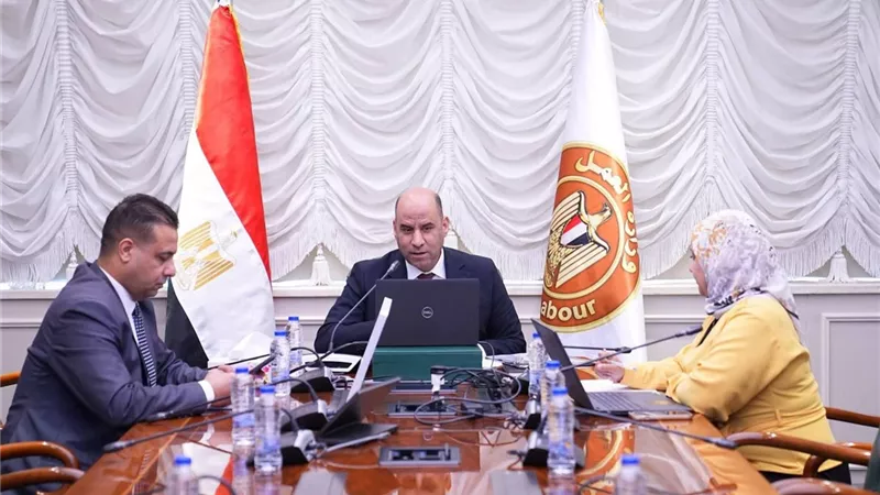 وزير العمل يعقد اجتماعًا لتيسير تأسيس المنظمات النقابية بحضور منظمة العمل الدولية