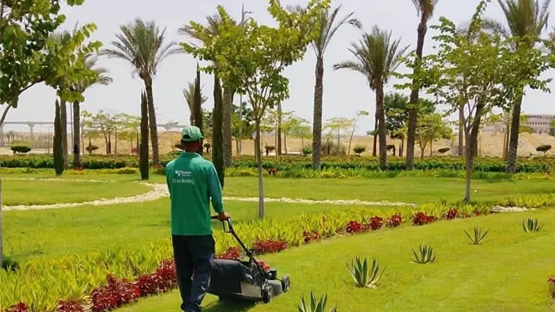رئيس جهاز العاصمة الجديدة: زيادة المساحات الخضراء وتعزيز أعمال اللاندسكيب بمختلف أحياء المدينة