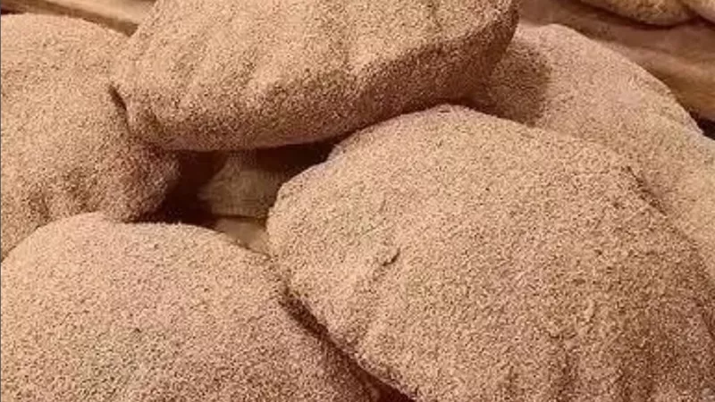 هاني مكي يوضح ما أعلنته «القابضة» عن منتجات الحبة الكاملة.. تفاصيل مهمة