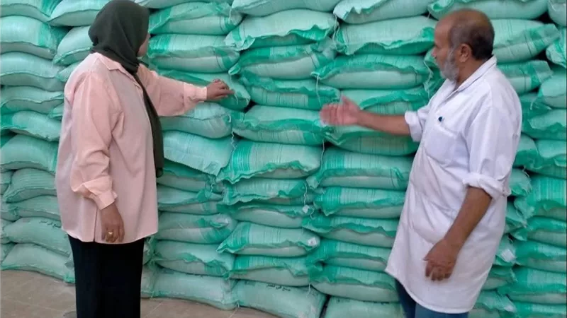 تموين القليوبية يحرر 91 محضرًا ومخالفة في حملات مكثفة لضبط الأسواق
