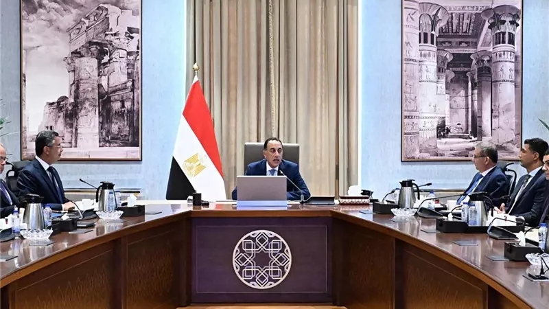 الحكومة تتحرك لضبط الأسواق وطرح 12 سلعة أساسية بأسعار مناسبة سبتمبر المقبل