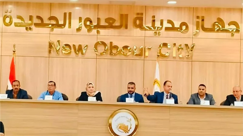 سعر المتر وصل 267 ألف جنيه.. بيع 13 وحدة تجارية وإدارية بالعبور الجديدة