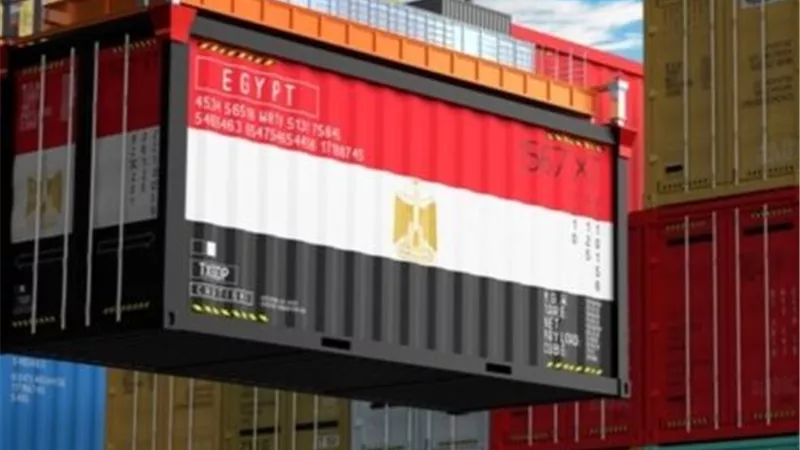 من السعودية إلى إيران.. خريطة صادرات مصر داخل بريكس تكشف مفارقة كبيرة