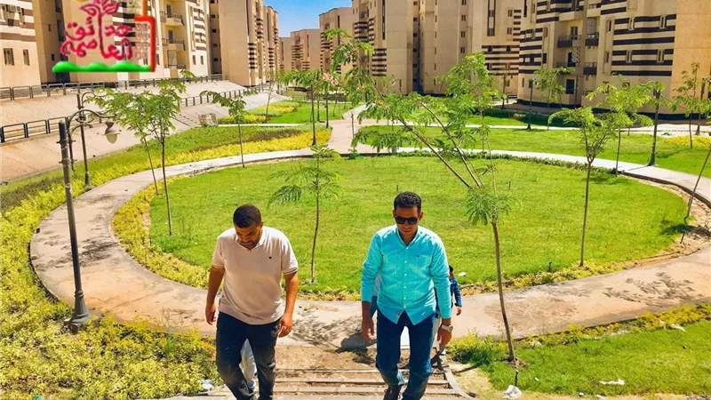 حدائق العاصمة تستهدف زراعة 4050 نخلة و31638 شجرة لتعزيز جودة الحياة