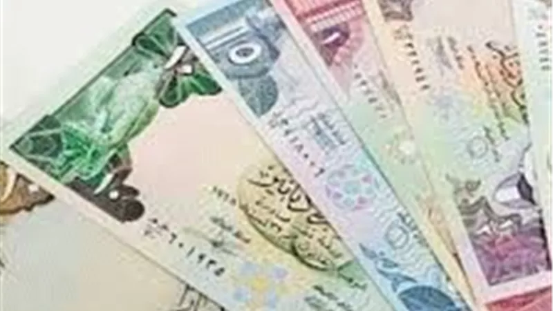 أسعار العملات العربية مقابل الجنيه في البنك المركزي المصري