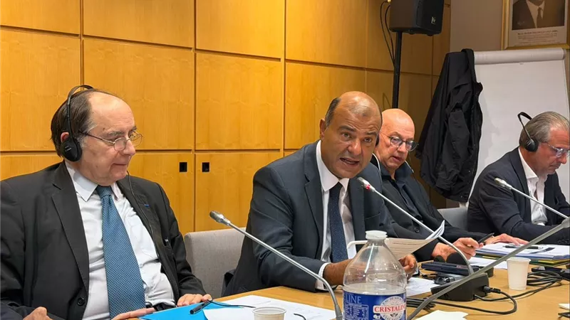 خالد حنفي: القمة الاقتصادية العربية الفرنسية تستهدف تحويل الشراكة إلى استثمارات ومشروعات