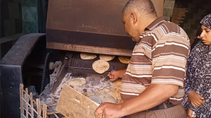 تموين الشرقية يحرر 150 محضرًا خلال حملات مكثفة على المخابز والأسواق والوقود