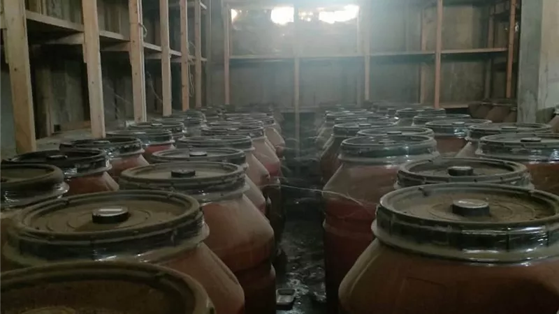 ضبط 22 طن زيتون مخلل غير صالح للاستهلاك داخل منشأة غير مرخصة بالغربية