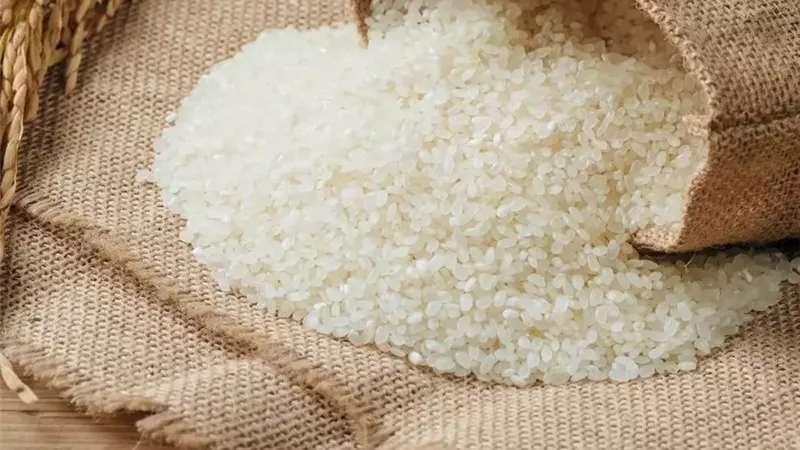 صدمة في سوق الأرز.. الأسعار تهوي آلاف الجنيهات دفعة واحدة