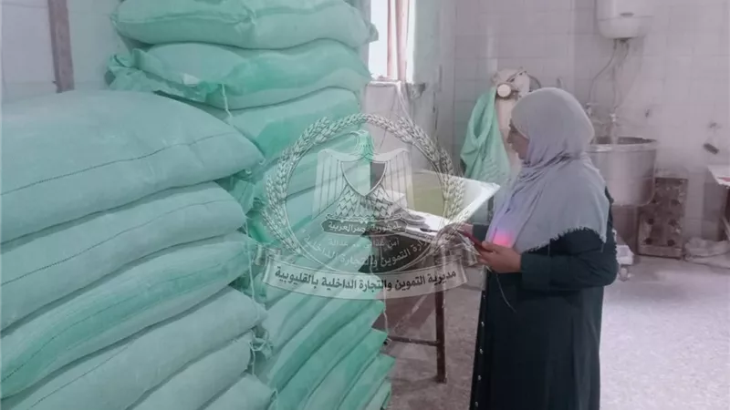 تموين القليوبية يحرر 62 محضرًا وتقريرًا خلال حملات رقابية على الأسواق والمخابز