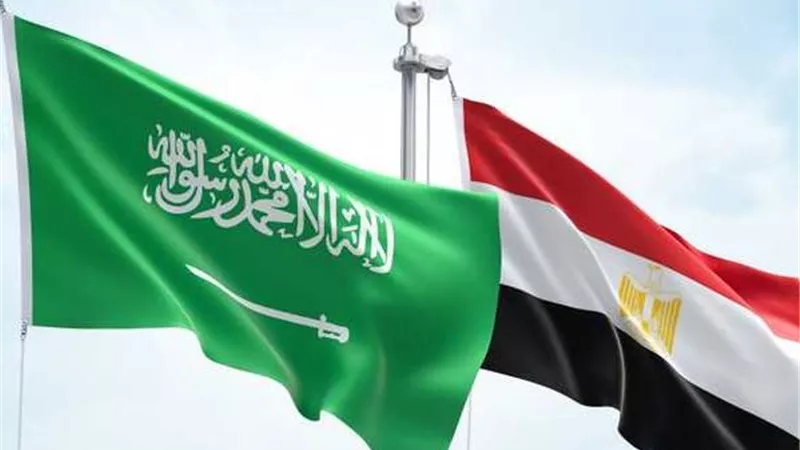 90% من معوقات الاستثمار السعودي في مصر انتهت.. عضو جمعية الاقتصاد يكشف التفاصيل