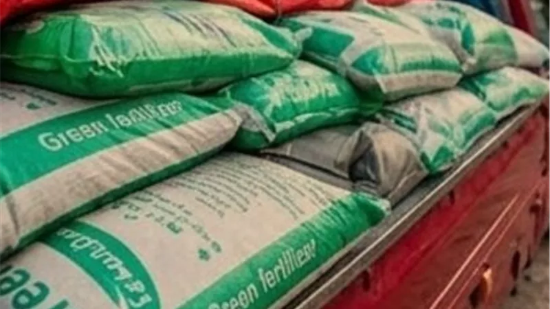 تموين الفيوم يضبط 40 ألف علبة سجائر ودجاجًا فاسدًا وطنين مبيدات مجهولة المصدر