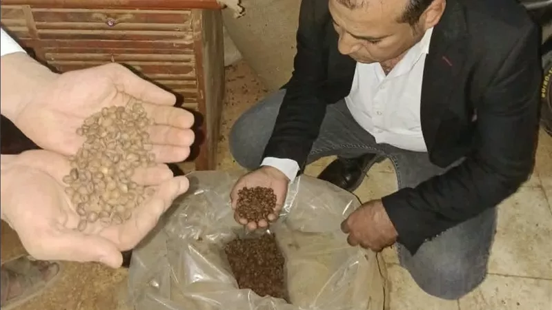 حماية المستهلك يضبط مخزنًا لشبكة غش البن بالبسلة وعلامات تجارية شهيرة في شبرا الخيمة