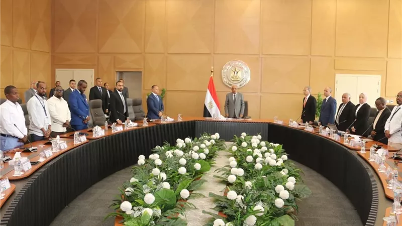 16 متدربًا من جيبوتي يتخرجون في برامج الكهرباء والطاقة المتجددة بمصر
