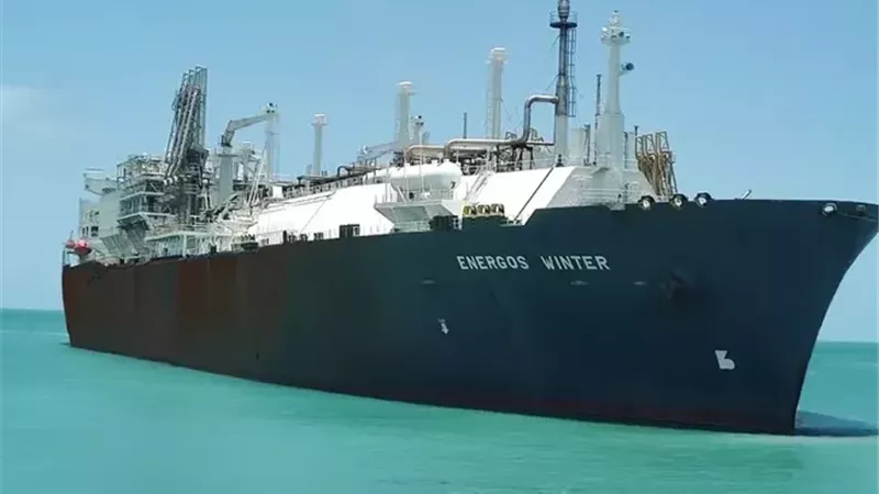 إنرغوس وينتر تغادر مصر إلى إسبانيا للإصلاح.. والعودة إلى دمياط بنهاية أكتوبر