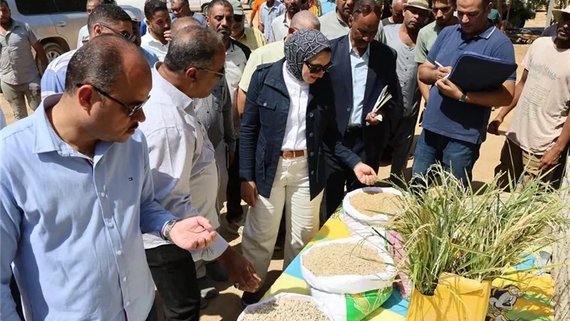 محافظ الوادي الجديد تتفقد مشروعات زراعية واستثمارية بمنطقة بحيرة باريس
