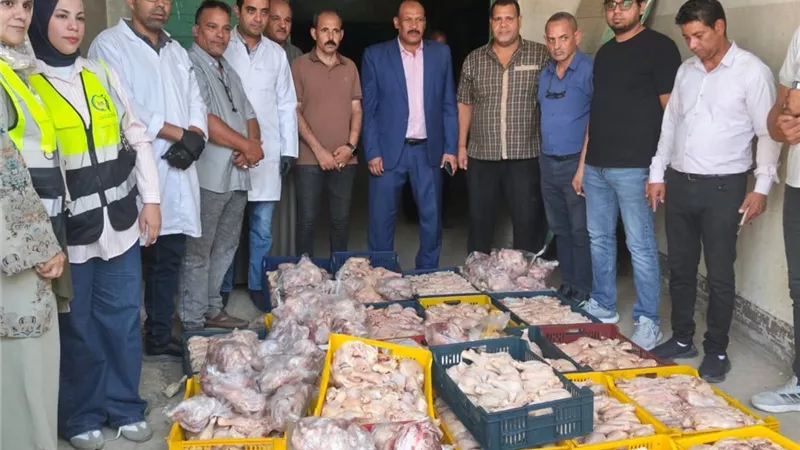 ضبط 460 كيلو لحوم دواجن و10 أطنان كيماوي و15 ألف آيس كريم بسوهاج