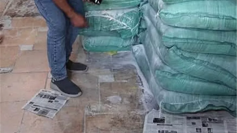 ضبط 4 أطنان دقيق و40 كيلو زيت وتحرير 60 مخالفة في حملات تموينية بالقليوبية