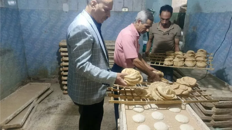 تموين الغربية يضبط 43 شيكارة دقيق مدعم و6600 عبوة وكيس منتهية الصلاحية