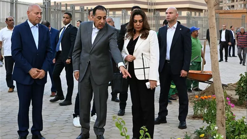 مليون نبتة في القاهرة.. خطة لتخضير الشوارع وتحويل المساحات المهملة لحدائق خضراء