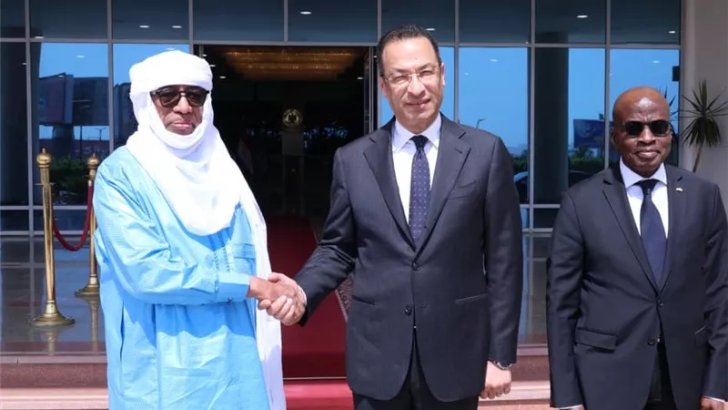 مصر ومالي تبحثان تعزيز التعاون في التحول الرقمي والبنية التحتية للاتصالات والذكاء الاصطناعي