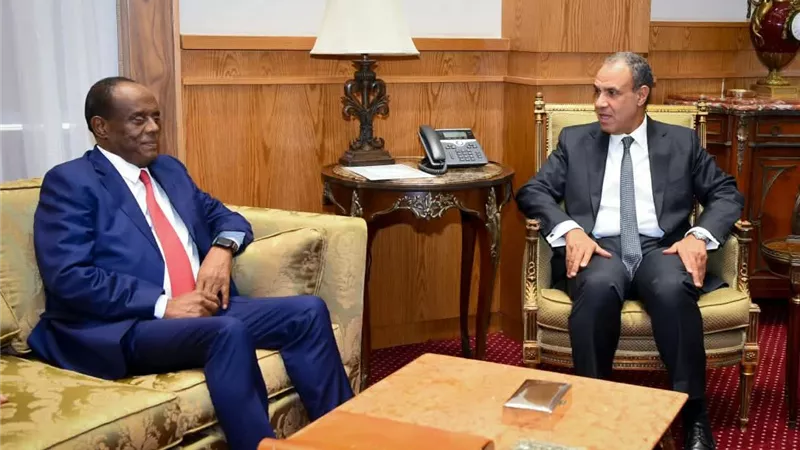 وزير الخارجية يبحث مع المستشار الاقتصادي للرئيس الإريتري تعزيز التعاون بين البلدين