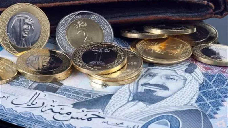 سعر الريال السعودي اليوم في البنك المركزي المصري.. آخر تحديث السبت 17 أكتوبر 2026