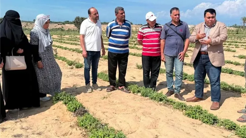 بعد 53 عامًا من نصر أكتوبر.. سيناء تتحول لقاطرة اقتصادية بمشروعات واستثمارات تاريخية ضخمة