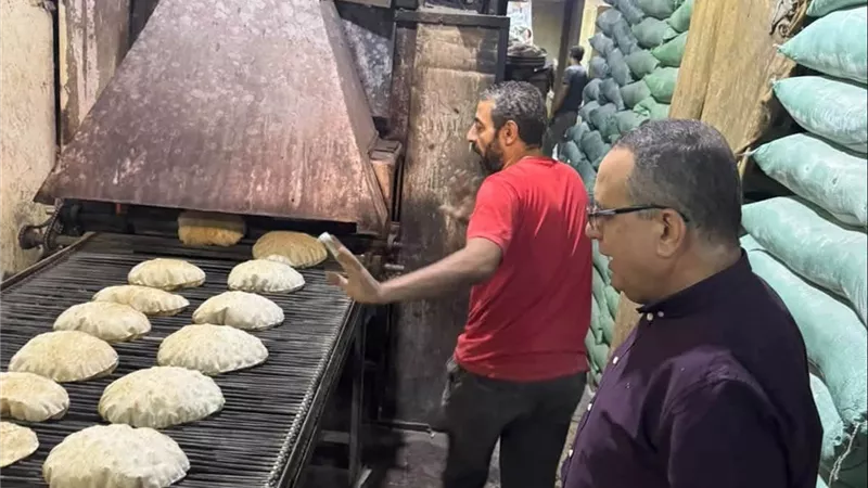 6 أطنان سكر و500 كرتونة زيت..تموين الدقهلية يضبط145 مخالفة في حملات مكثفة