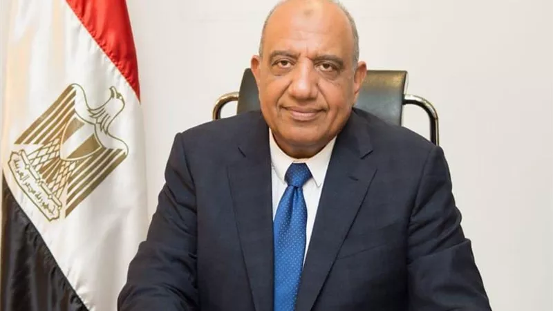 عداد الكهرباء عندك بقاله 10 سنين؟ اعرف مين هيدفع تمن تغييره