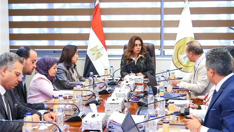وزيرة التنمية المحلية والبيئة تتابع مشروعات التنمية الاقتصادية في 4 محافظات بالصعيد