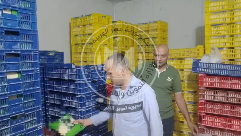 تموين القليوبية يضرب بقوة.. ضبط مصنع موتزاريلا ومتابعة البوتاجاز ومعارض السلع بالمراكز