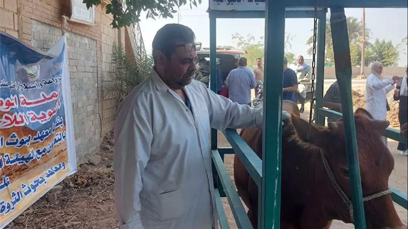  الزراعة تدعم قرية إفوة ببني سويف بقافلة بيطرية وتجهيز الأراضي للموسم الجديد