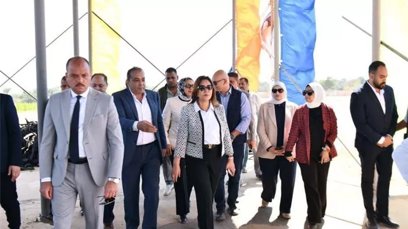 مخلفات النخيل تتحول إلى ثروة في الوادي الجديد.. مصنع بطاقة 32 طنًا يوميًا
