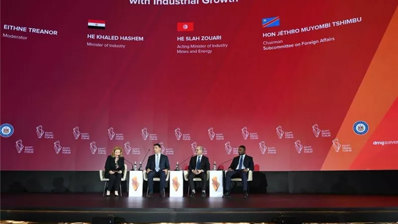 الصناعة: دراسة المعادن المستخرجة في مصر حالياً للوقوف على مدى قابليتها للتصنيع