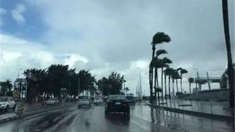 الأرصاد تحذر من الشبورة والأمطار الرعدية الثلاثاء.. والطقس شديد الحرارة جنوب الصعيد