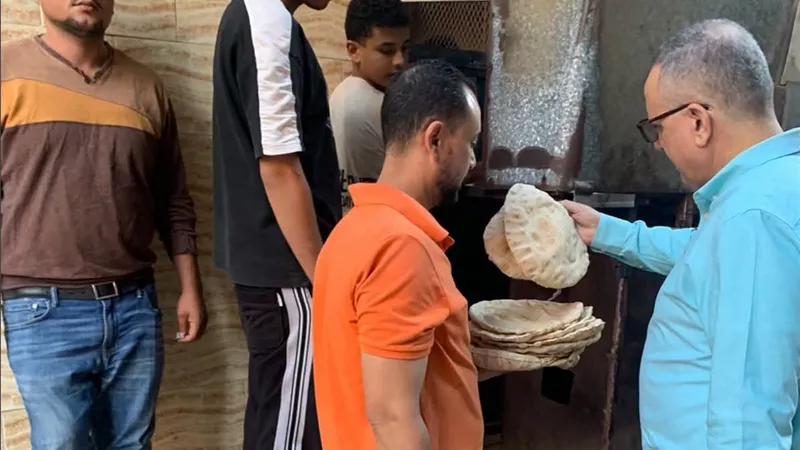  تموين الدقهلية يضبط 5.3 طن لحوم ودواجن و210 علب سجائر مستوردة ويحرر 166 مخالفة